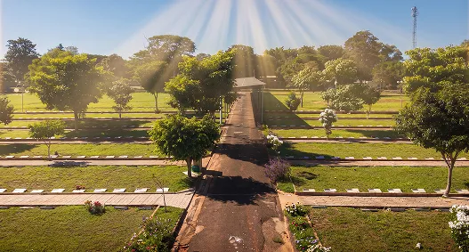 Campo ao entardecer